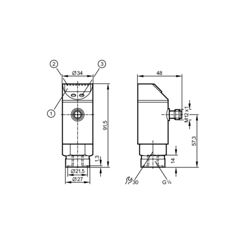 Датчик давления с дисплеем PE3006