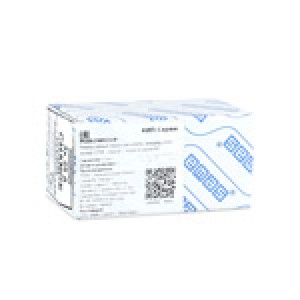 Пакетные переключатели